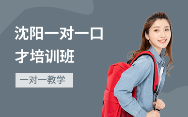沈阳一对一口才培训班