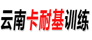 云南昆明卡耐基口才培训logo